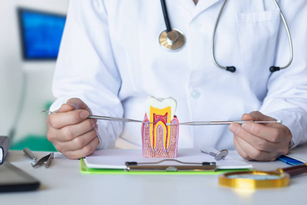 Best Broken or Cracked Tooth Emergency Dentist in Union City, IN
